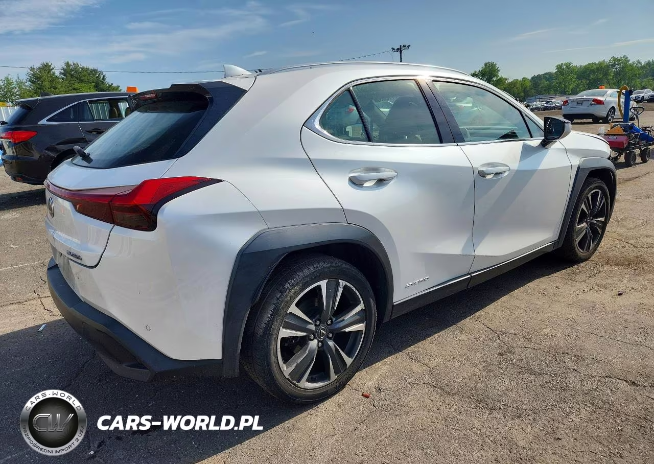 2019 Lexus Ux 250H VIN:JTHU9JBHXK2002263 - 3