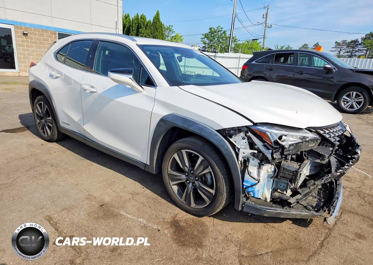 2019 Lexus Ux 250H VIN:JTHU9JBHXK2002263 - 4