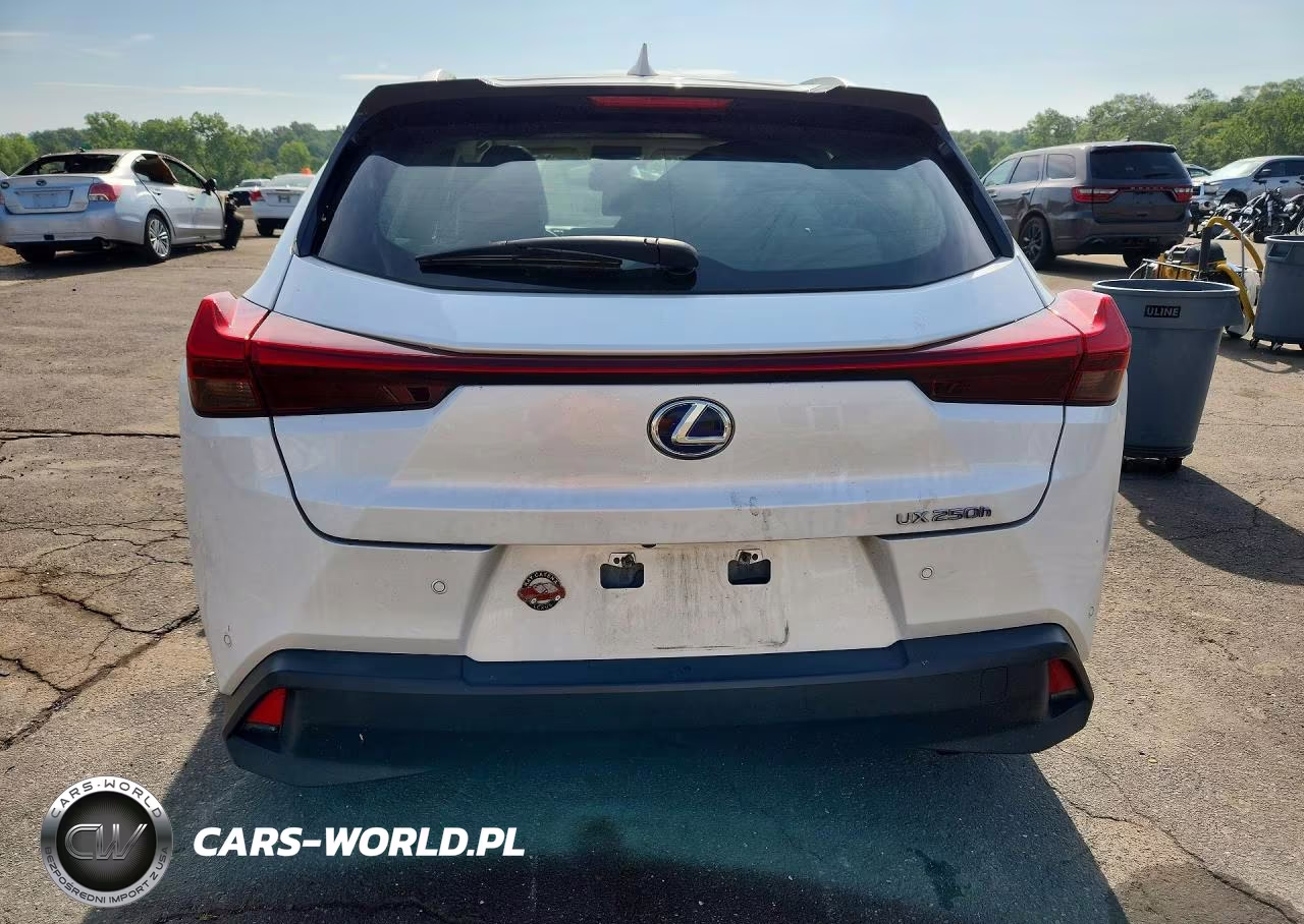 2019 Lexus Ux 250H VIN:JTHU9JBHXK2002263 - 6