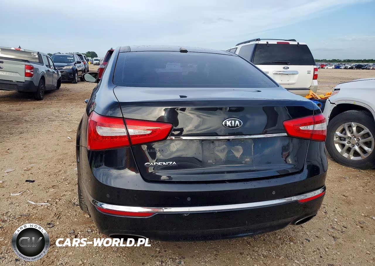 2016 Kia Cadenza Luxury VIN:KNALN4D7XG5218891 - 6