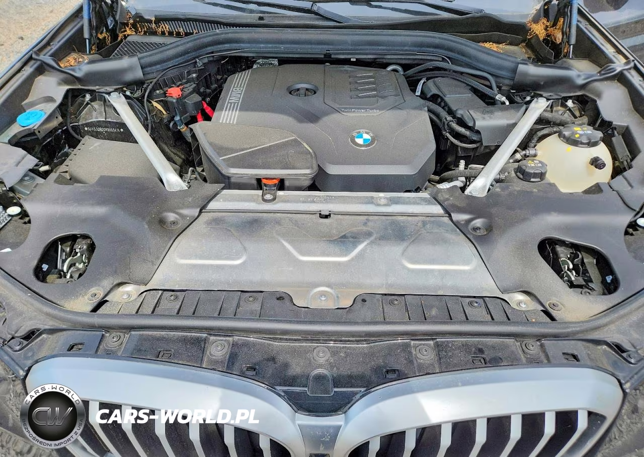2024 BMW X3 xDrive30I VIN:5UX53DP00R9U69414 - 12