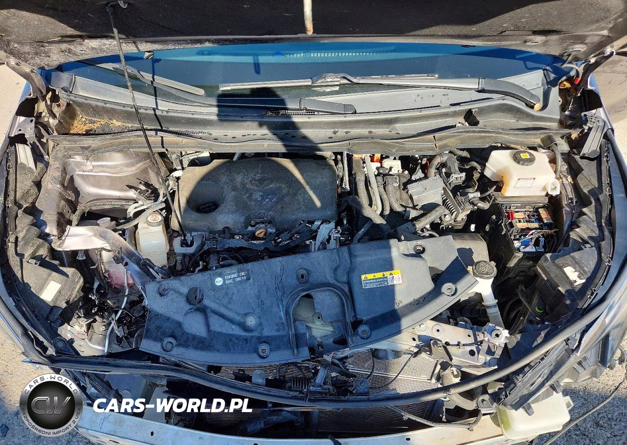 2021 Toyota Sienna Xle VIN:5TDYRKEC0MS032666 - 12
