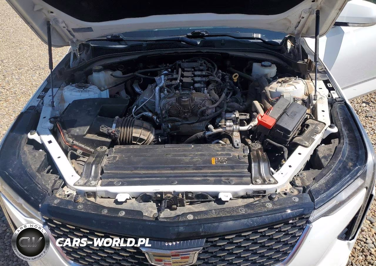 2021 Cadillac Ct4 Premium Luxury VIN:1G6DB5RK5M0130409 - 11