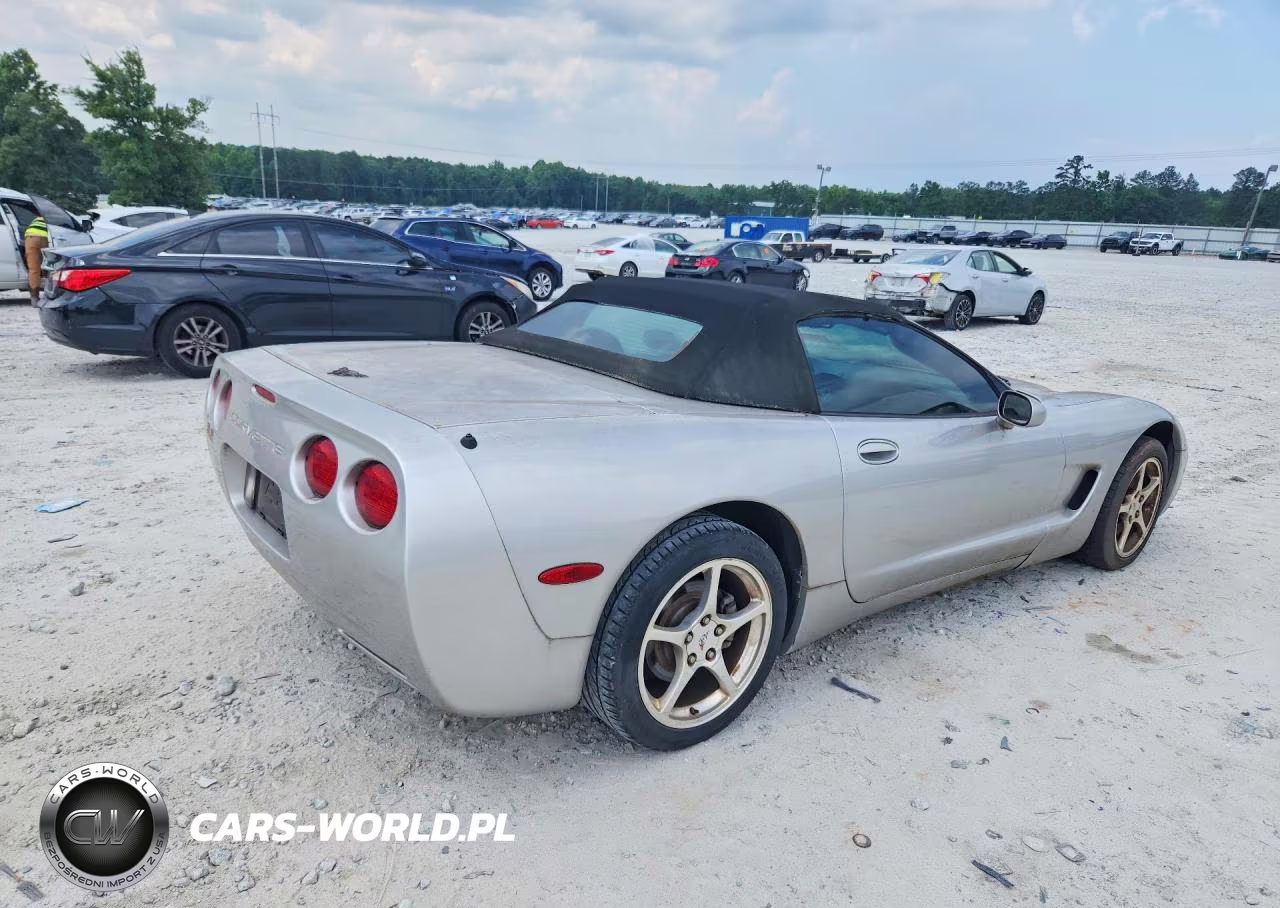2004 Chevrolet Corvette VIN:1G1YY32G545124838 - 3