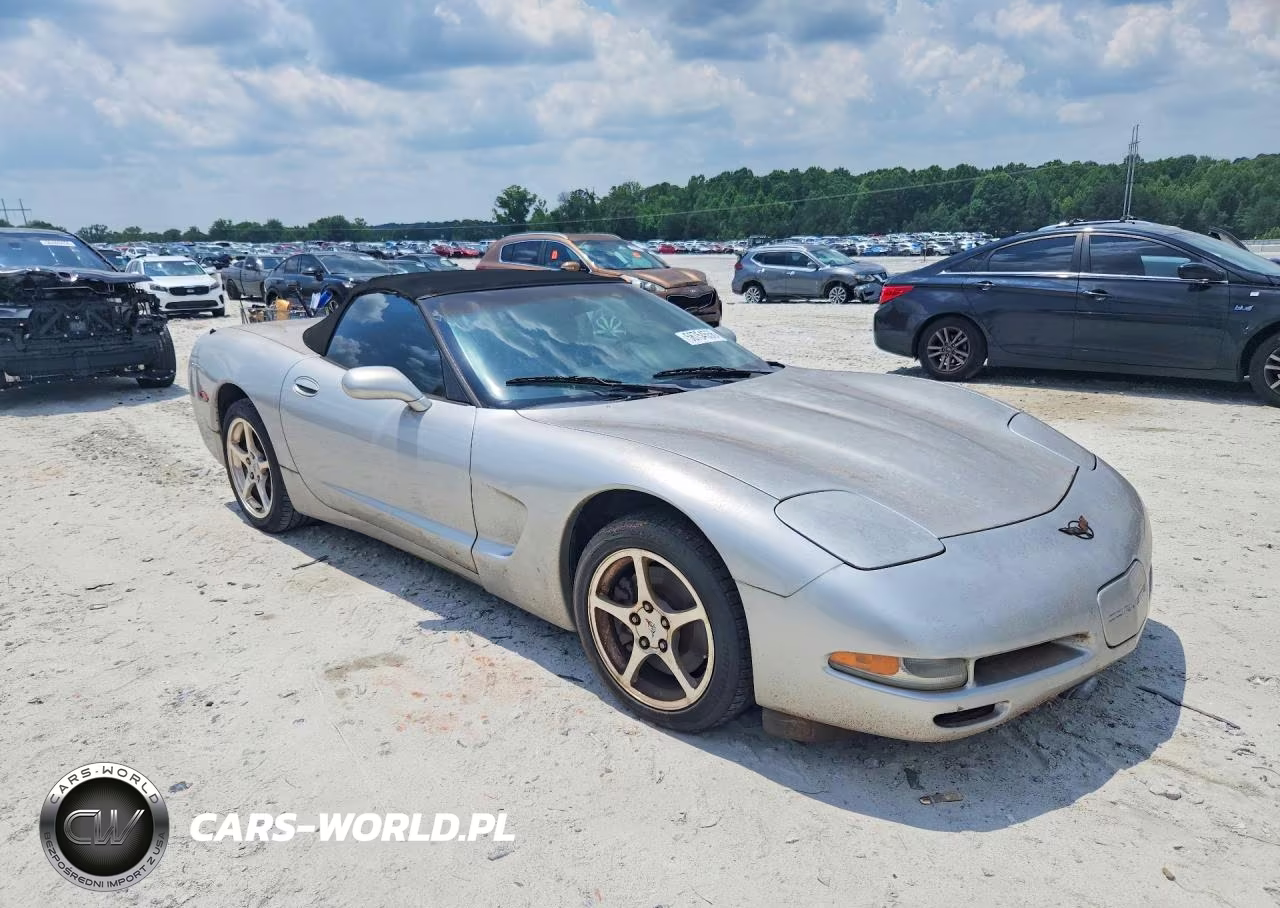 2004 Chevrolet Corvette VIN:1G1YY32G545124838 - 4