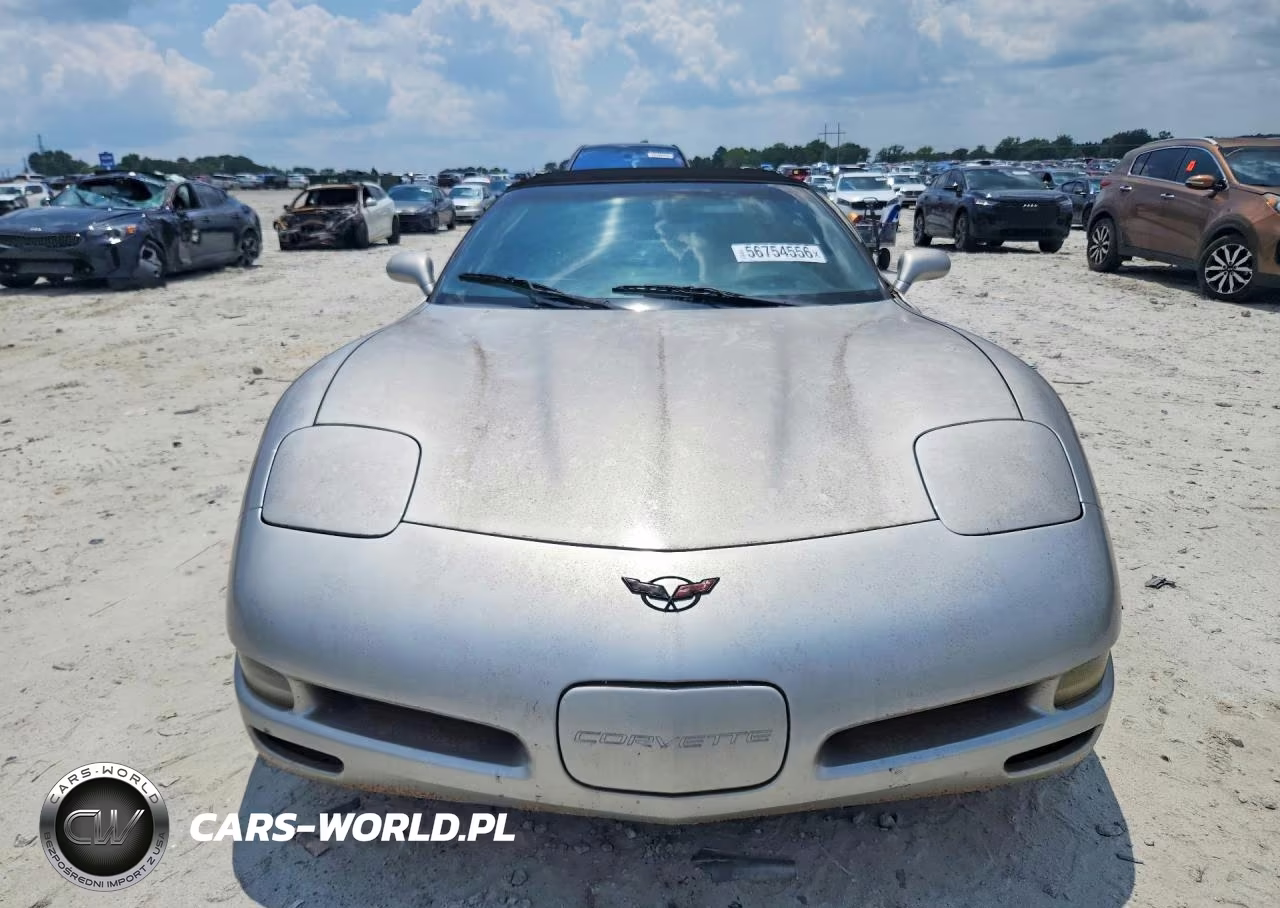 2004 Chevrolet Corvette VIN:1G1YY32G545124838 - 5