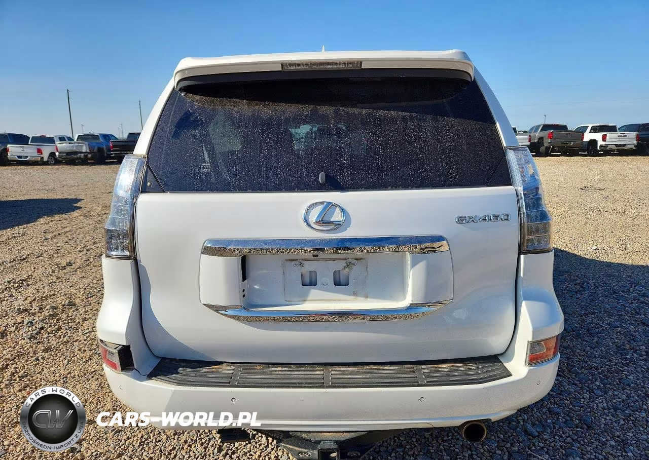 2015 Lexus Gx 460 Premium VIN:JTJJM7FX1F5105063 - 6