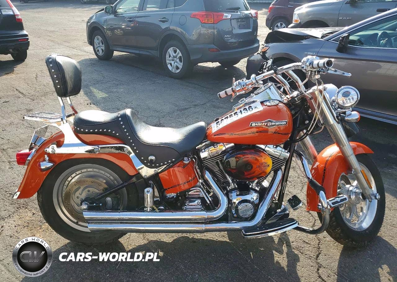 2006 Harley-Davidson Flstfi