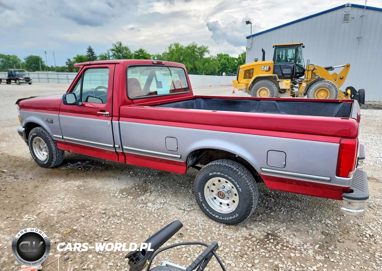1994 Ford F150 VIN:1FTEF15N1RNB21716 - 2