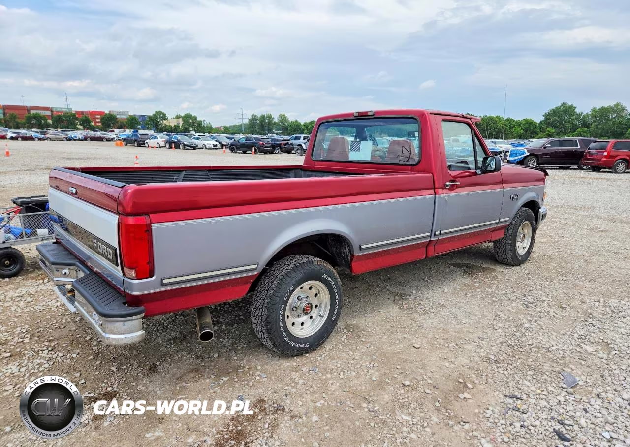 1994 Ford F150 VIN:1FTEF15N1RNB21716 - 3