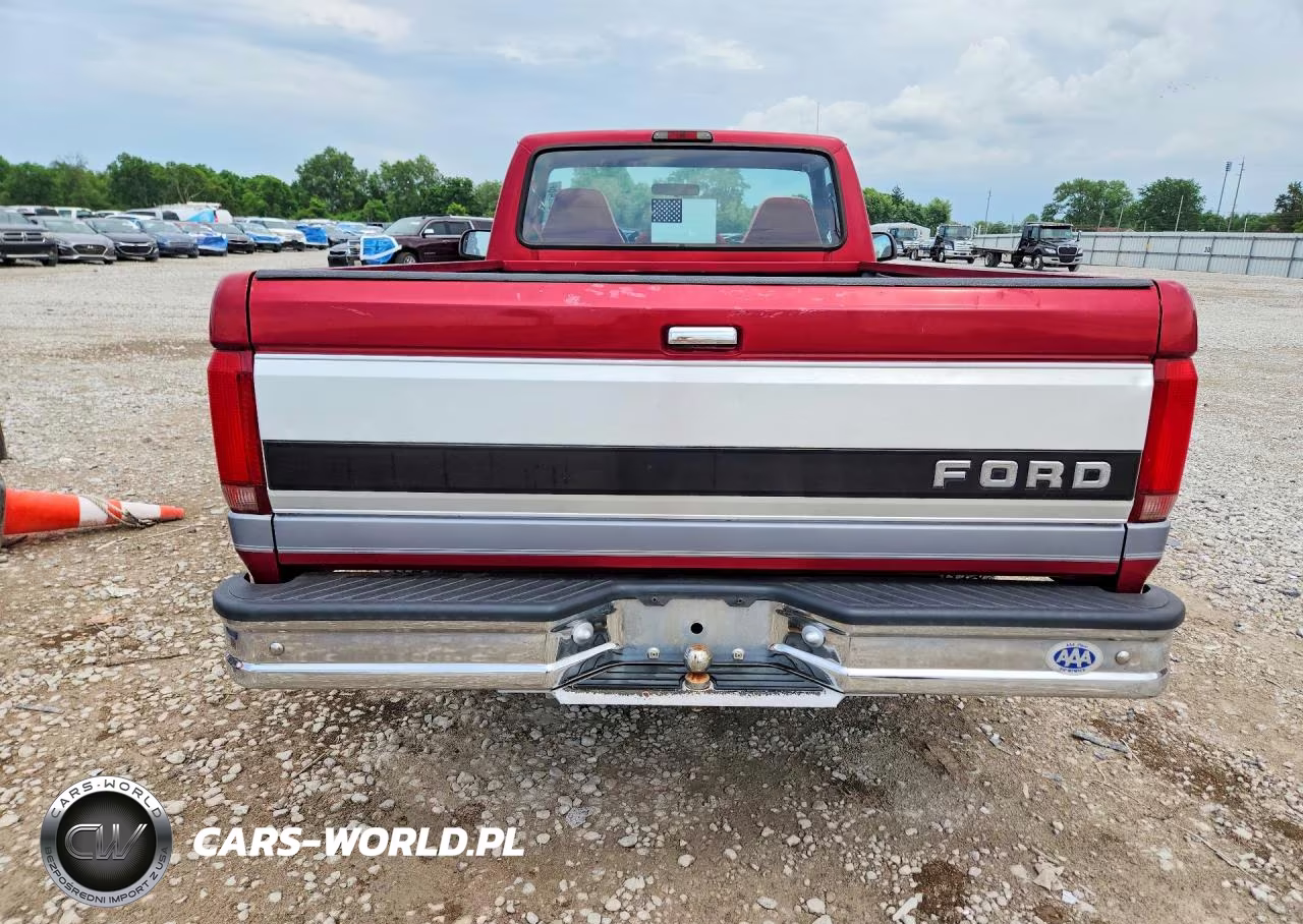 1994 Ford F150 VIN:1FTEF15N1RNB21716 - 6