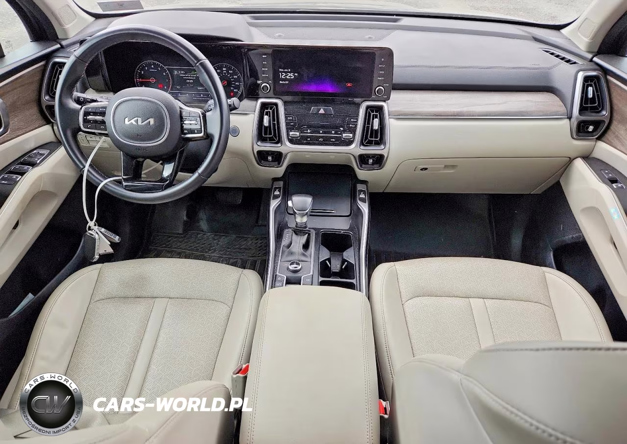 2023 Kia Sorento Ex VIN:5XYRHDLF0PG165414 - 8