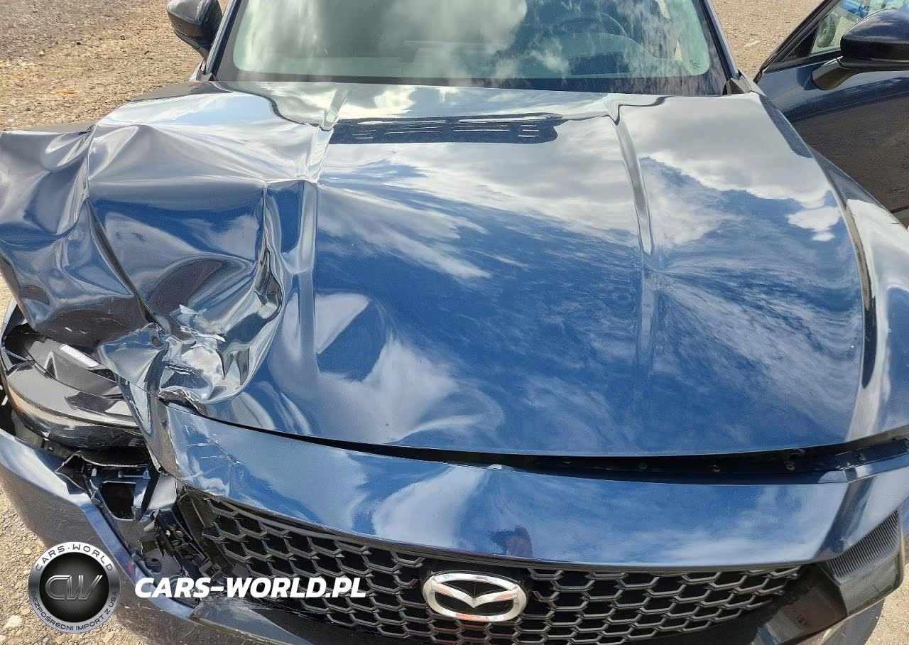 2025 Mazda Cx-50 Premium VIN:7MMVABDY5SN389027 - 12