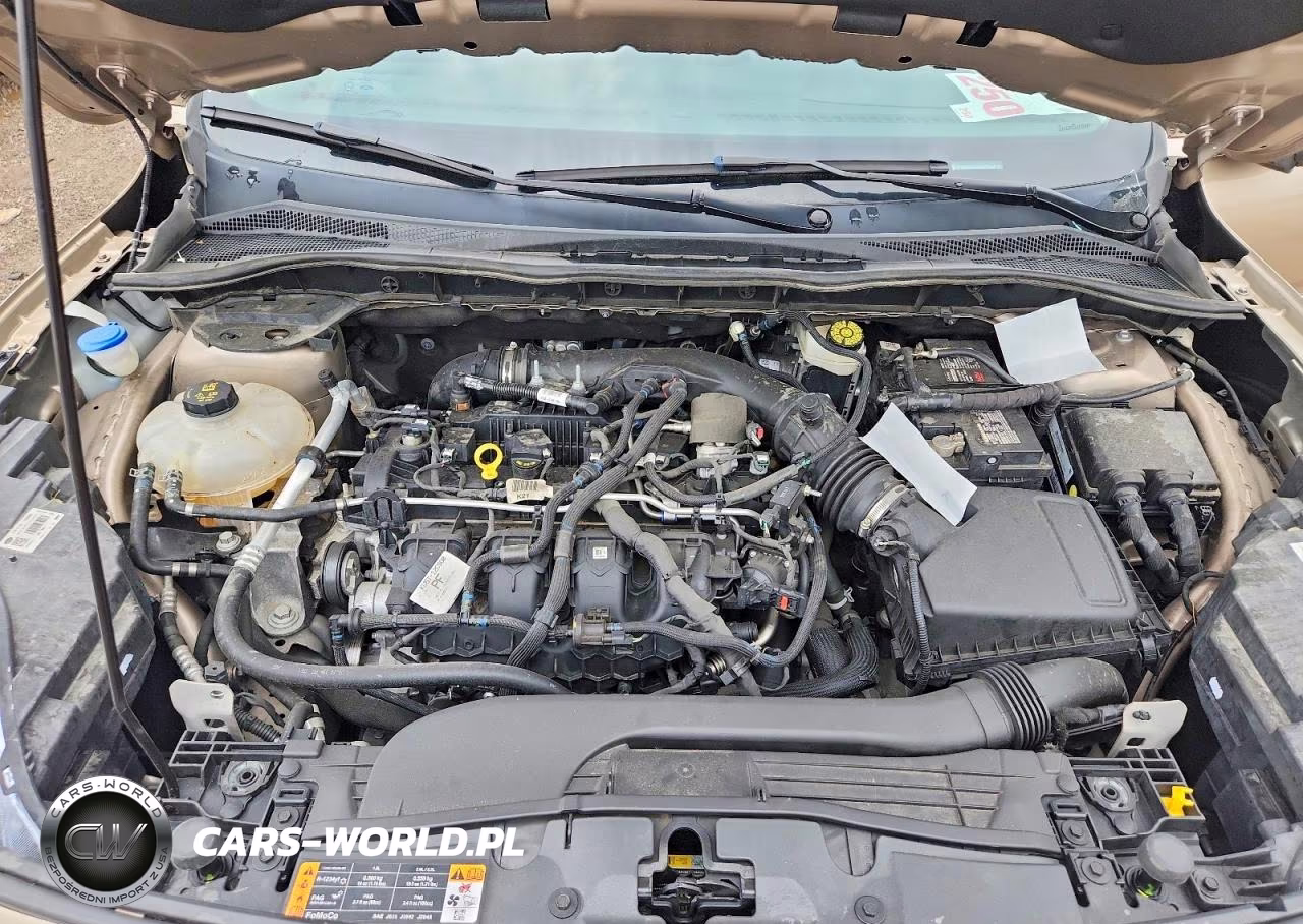 2021 Ford Escape Titanium VIN:1FMCU9J93MUA13340 - 12