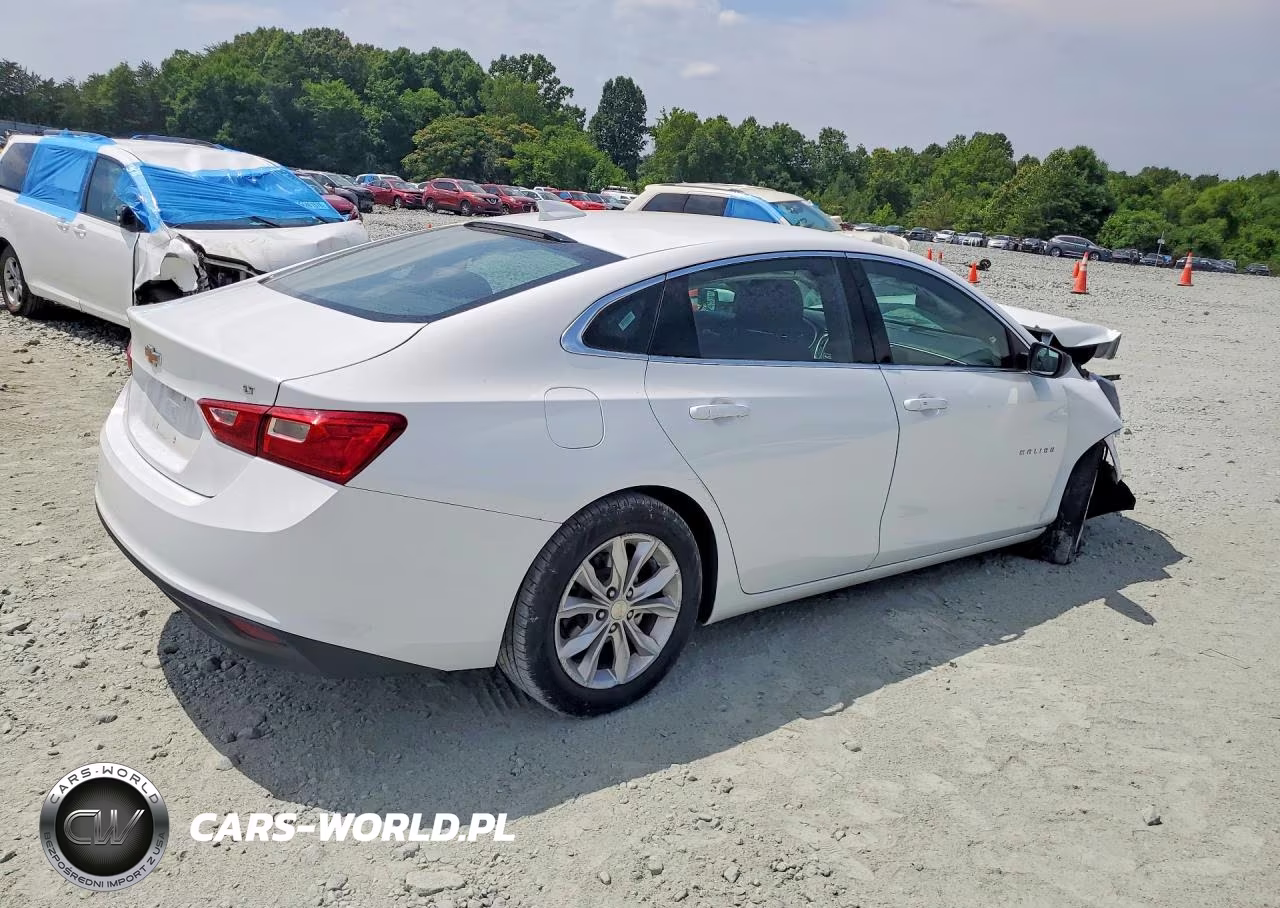 2023 Chevrolet Malibu Lt VIN:1G1ZD5ST7PF186975 - 3