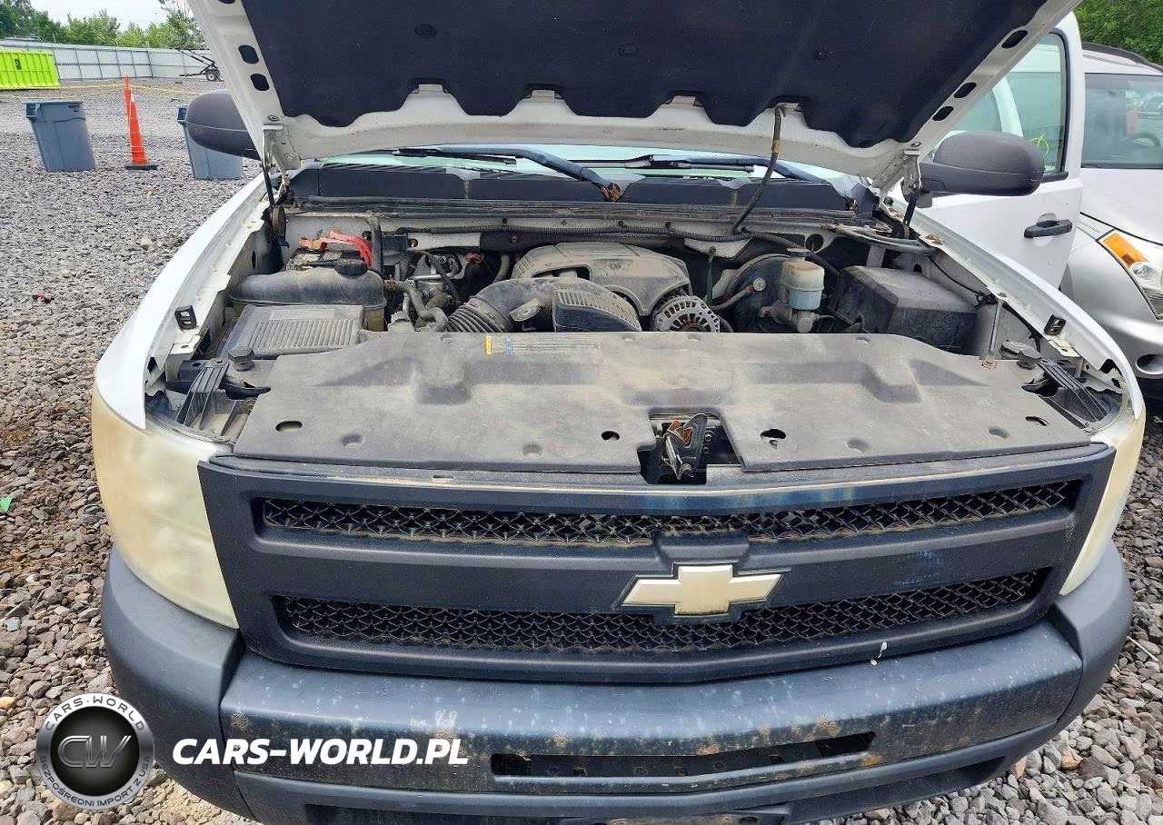 2009 Chevrolet Silverado C1500 VIN:1GCEC14C39Z210429 - 11