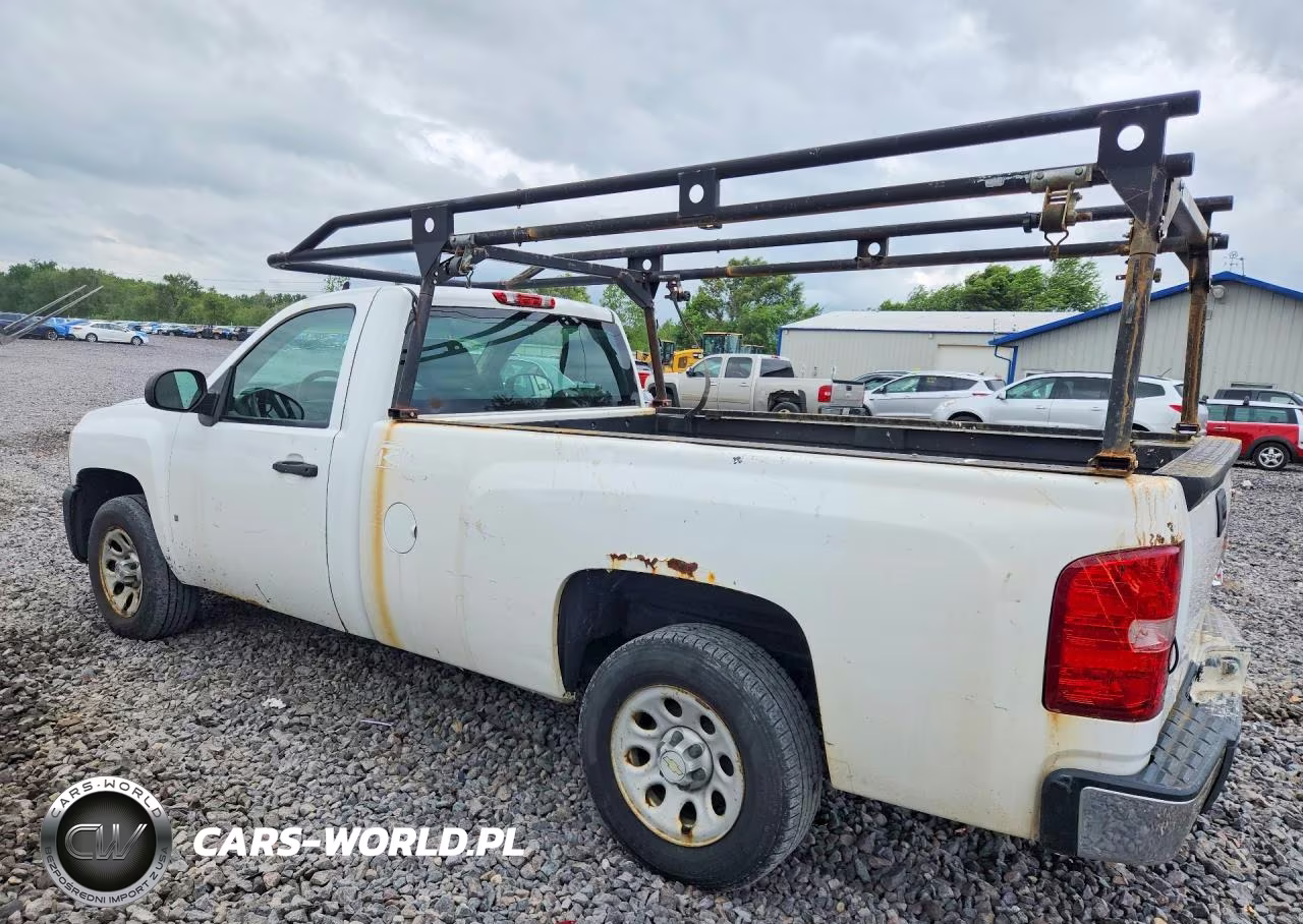 2009 Chevrolet Silverado C1500 VIN:1GCEC14C39Z210429 - 2
