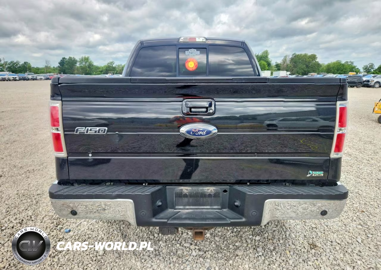 2010 Ford F150 Supercrew VIN:1FTFW1EV9AFB47936 - 6