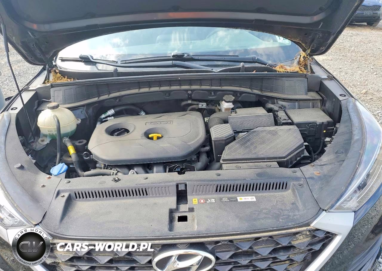 2019 Hyundai Tucson Value VIN:KM8J3CA49KU042771 - 12