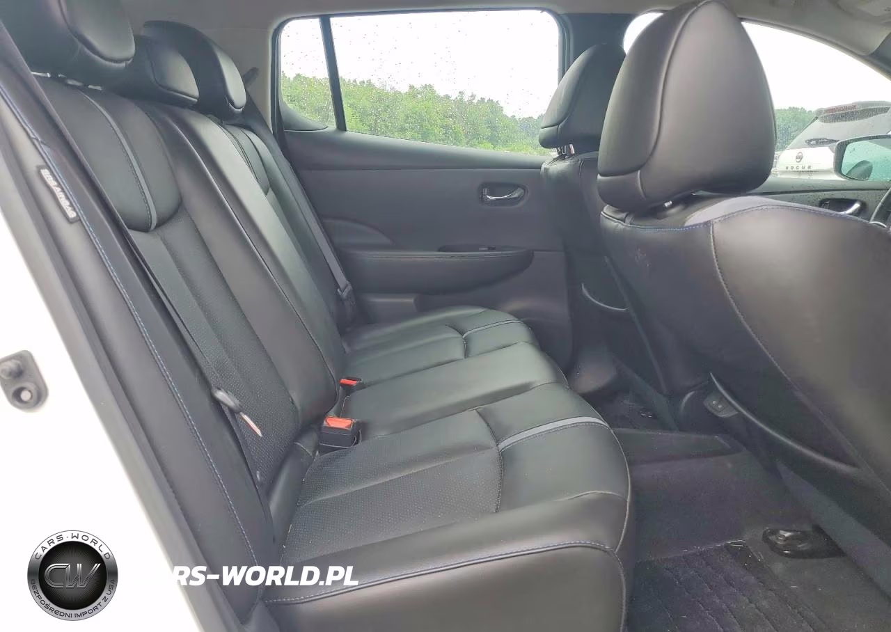 2020 Nissan Leaf Sl Plus VIN:1N4BZ1DP0LC303624 - 10