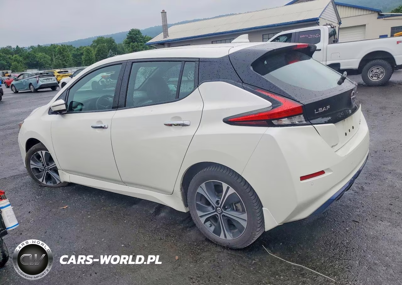 2020 Nissan Leaf Sl Plus VIN:1N4BZ1DP0LC303624 - 2