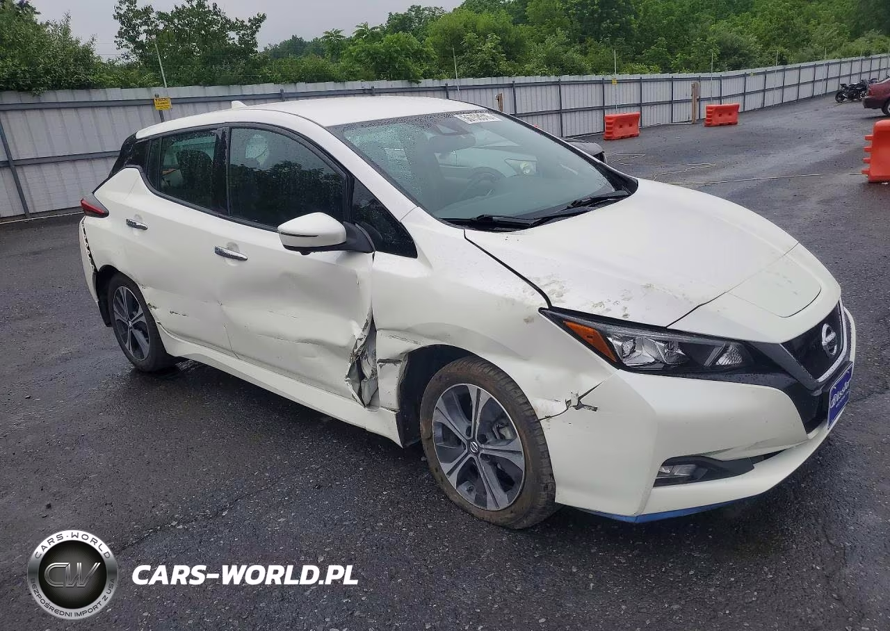 2020 Nissan Leaf Sl Plus VIN:1N4BZ1DP0LC303624 - 4