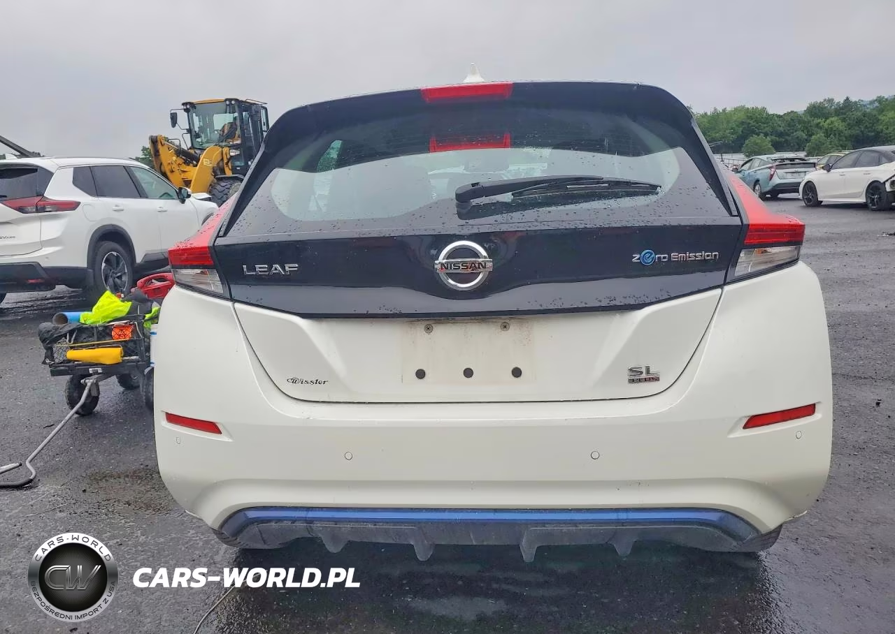2020 Nissan Leaf Sl Plus VIN:1N4BZ1DP0LC303624 - 6