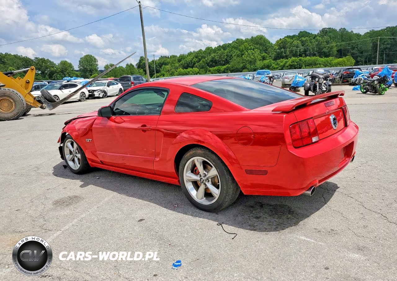 2006 Ford Mustang Gt VIN:1ZVFT82H565212730 - 2