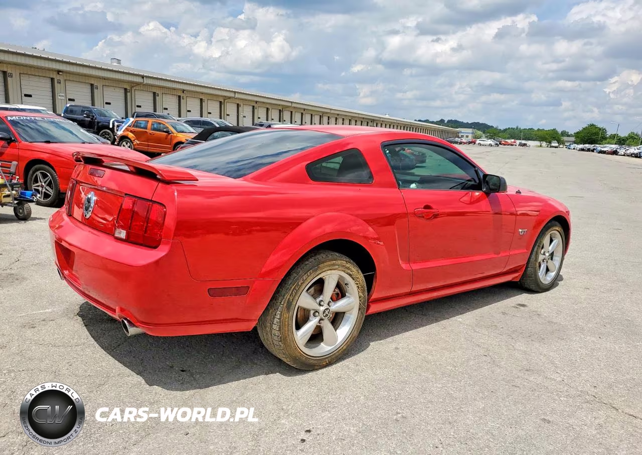 2006 Ford Mustang Gt VIN:1ZVFT82H565212730 - 3