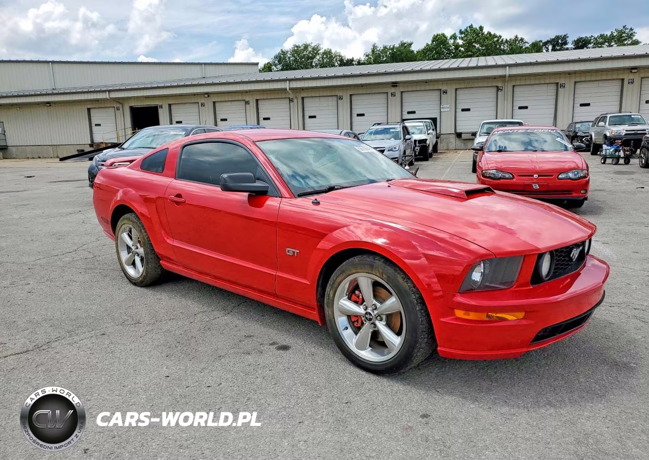 2006 Ford Mustang Gt VIN:1ZVFT82H565212730 - 4