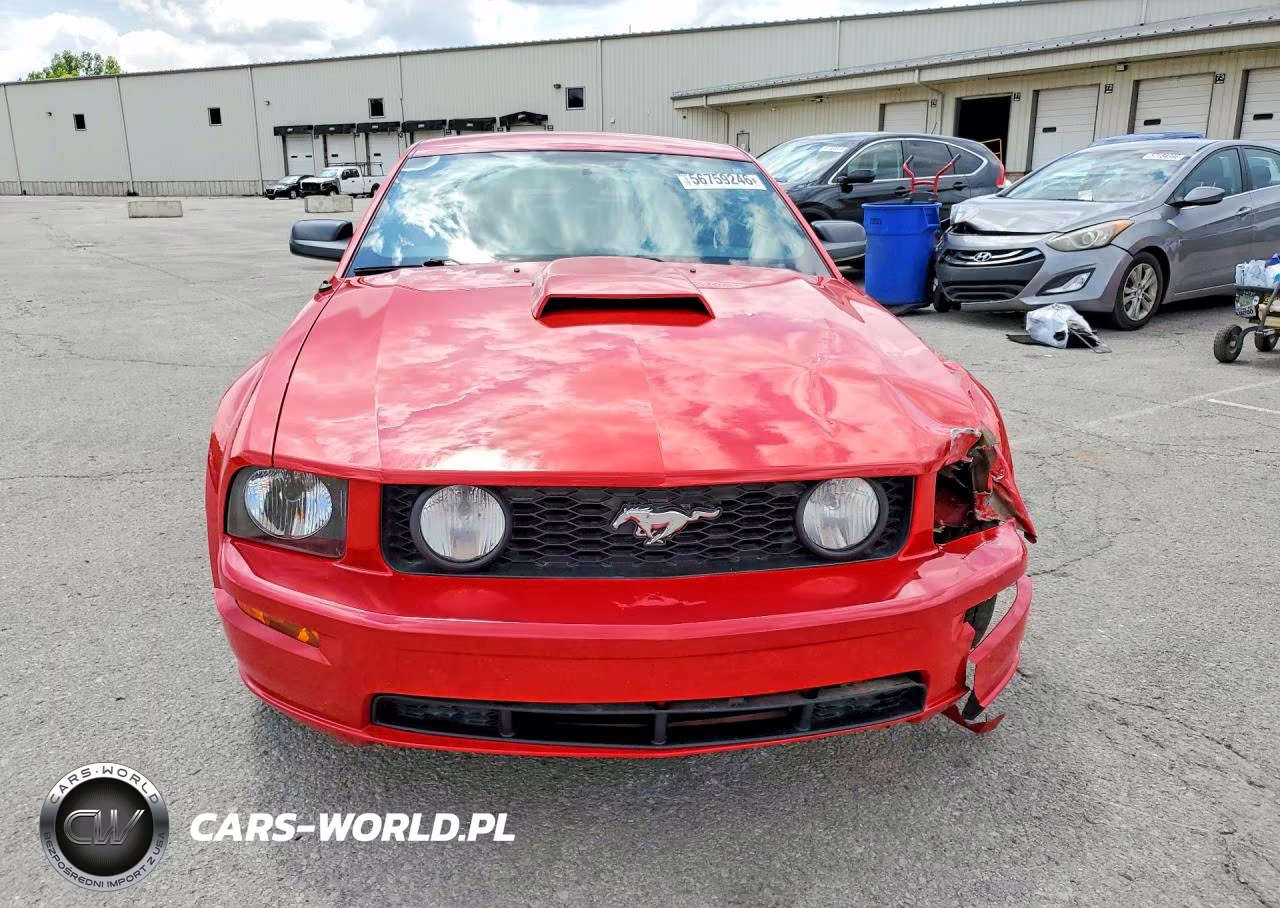 2006 Ford Mustang Gt VIN:1ZVFT82H565212730 - 5
