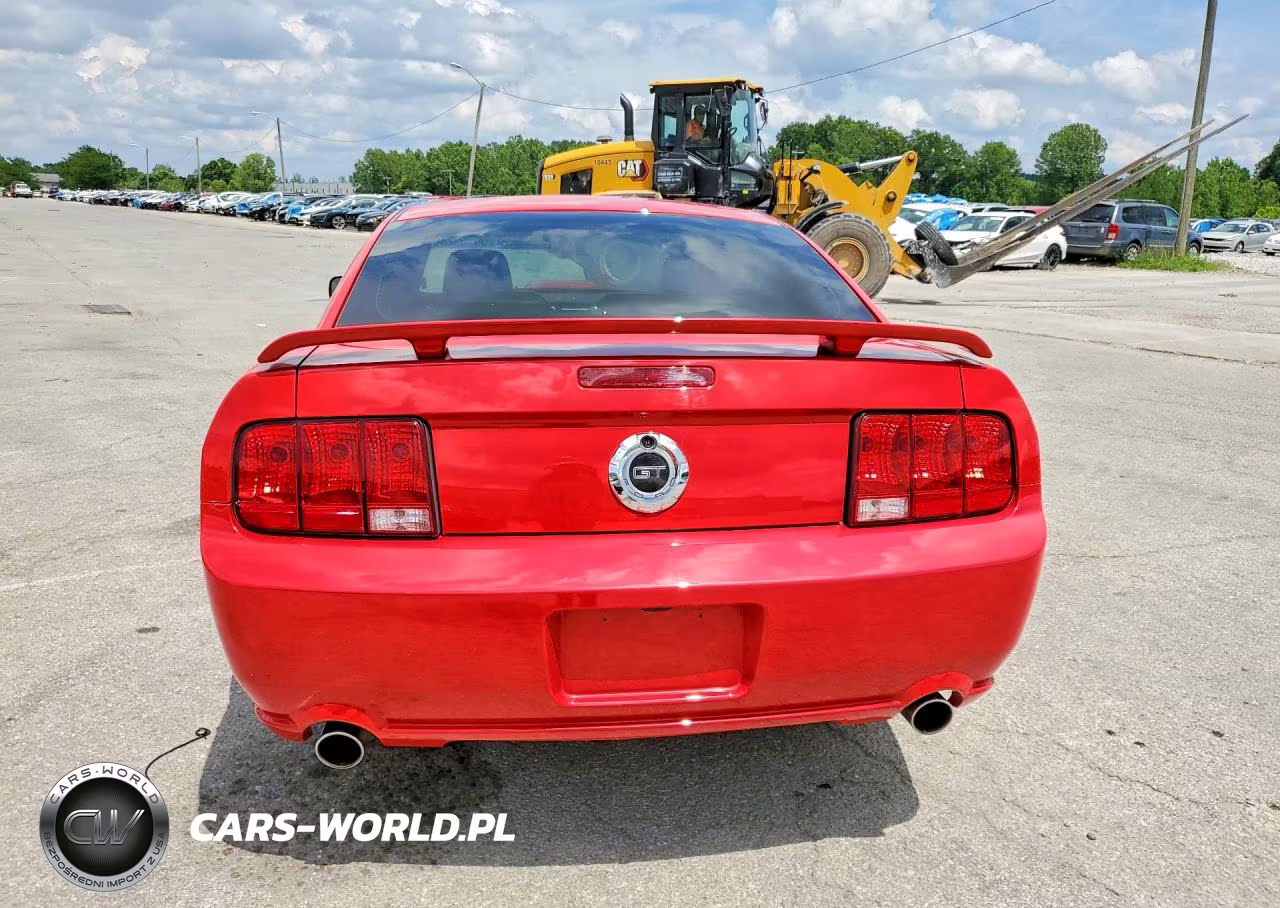2006 Ford Mustang Gt VIN:1ZVFT82H565212730 - 6