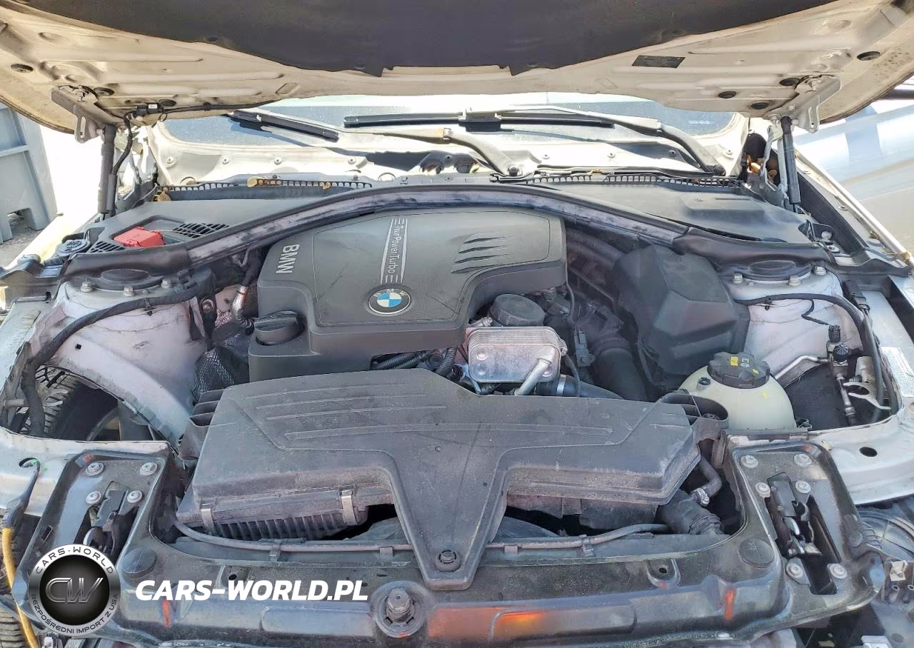 2015 BMW 320 I VIN:WBA3B1G52FNT05667 - 11
