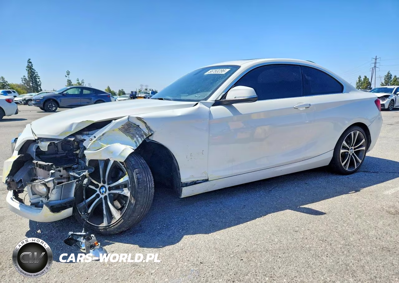 2016 BMW 228 I Sulev VIN:WBA1F9C55GV546317 - 1