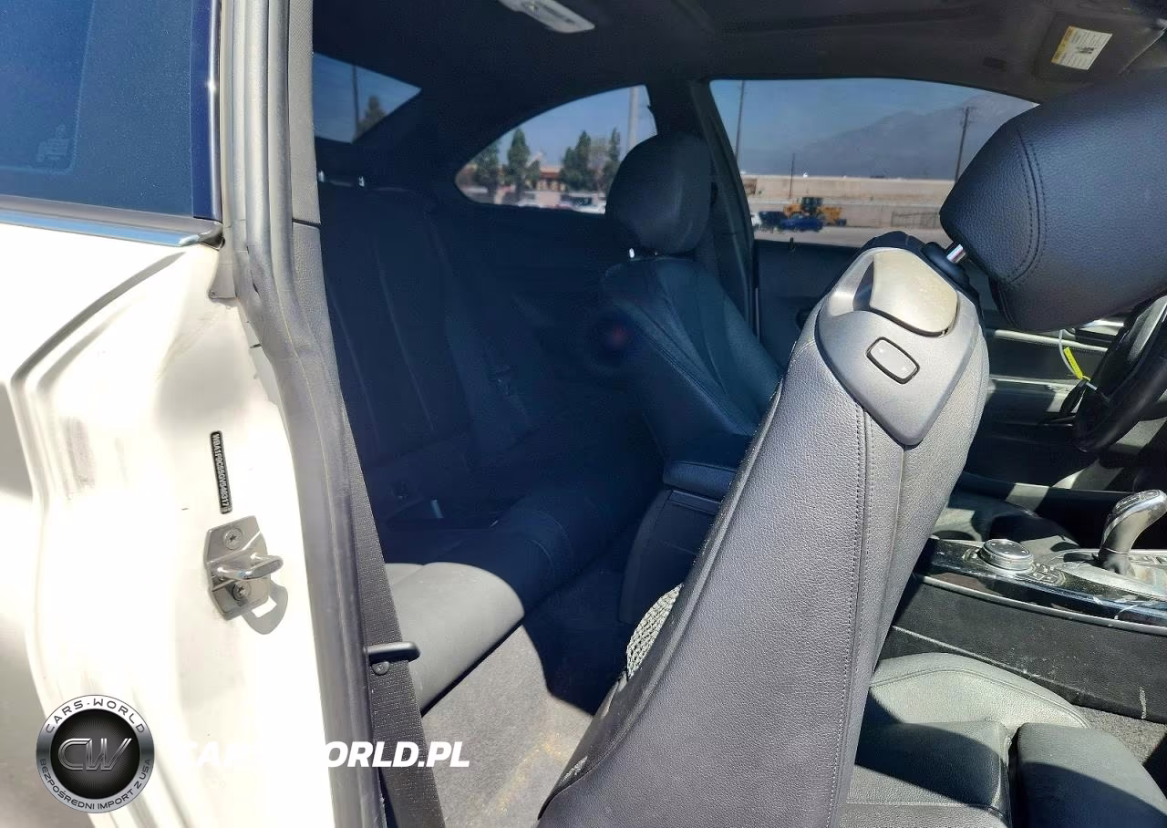 2016 BMW 228 I Sulev VIN:WBA1F9C55GV546317 - 10