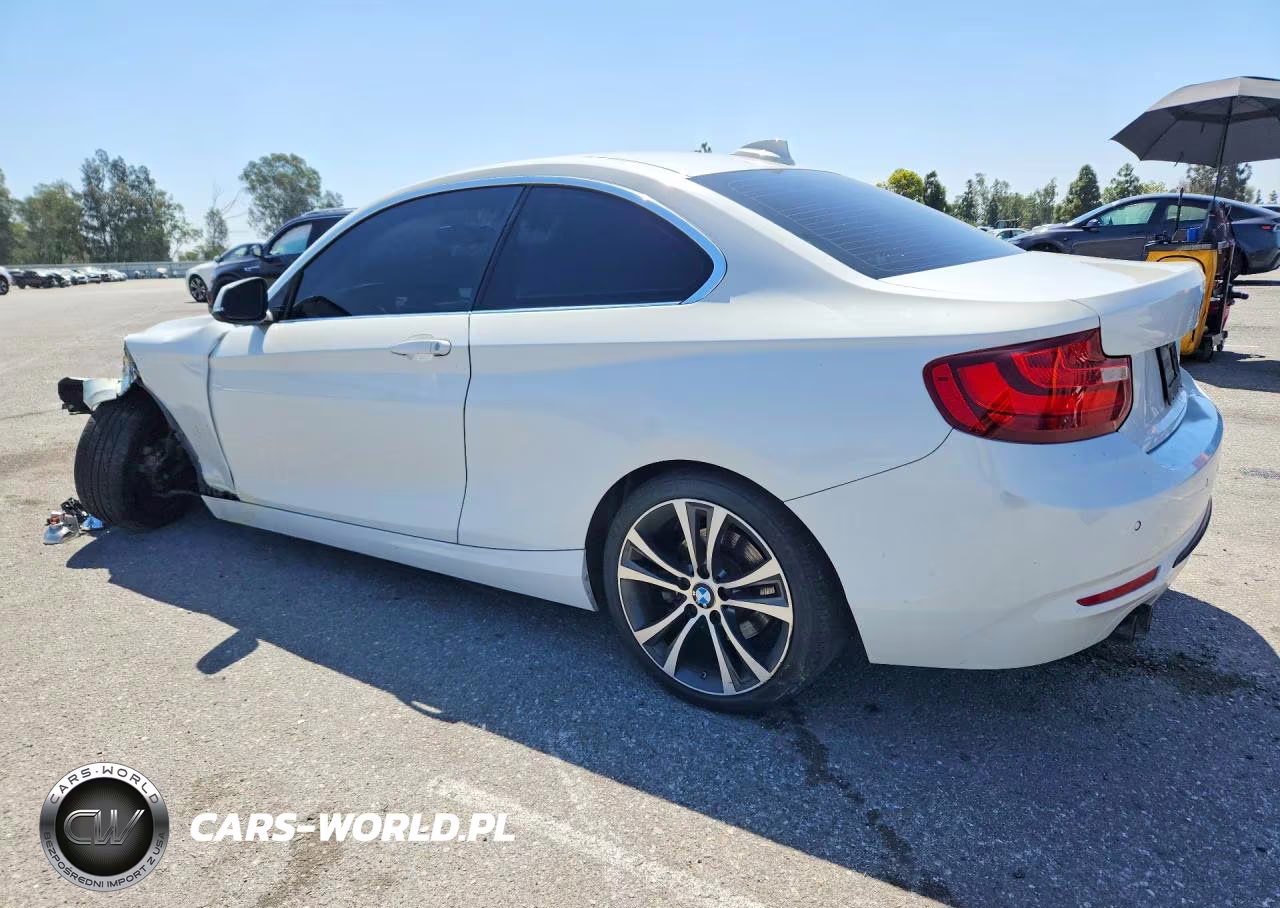 2016 BMW 228 I Sulev VIN:WBA1F9C55GV546317 - 2