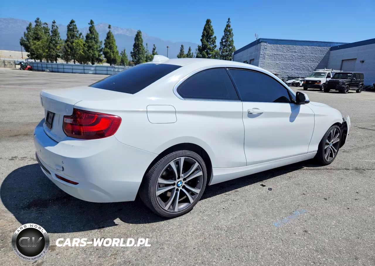 2016 BMW 228 I Sulev VIN:WBA1F9C55GV546317 - 3