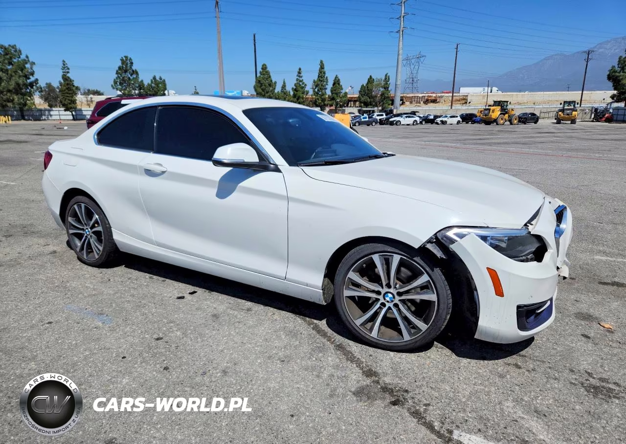 2016 BMW 228 I Sulev VIN:WBA1F9C55GV546317 - 4
