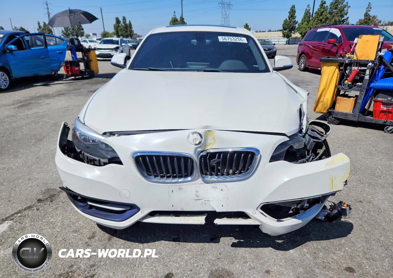 2016 BMW 228 I Sulev VIN:WBA1F9C55GV546317 - 5