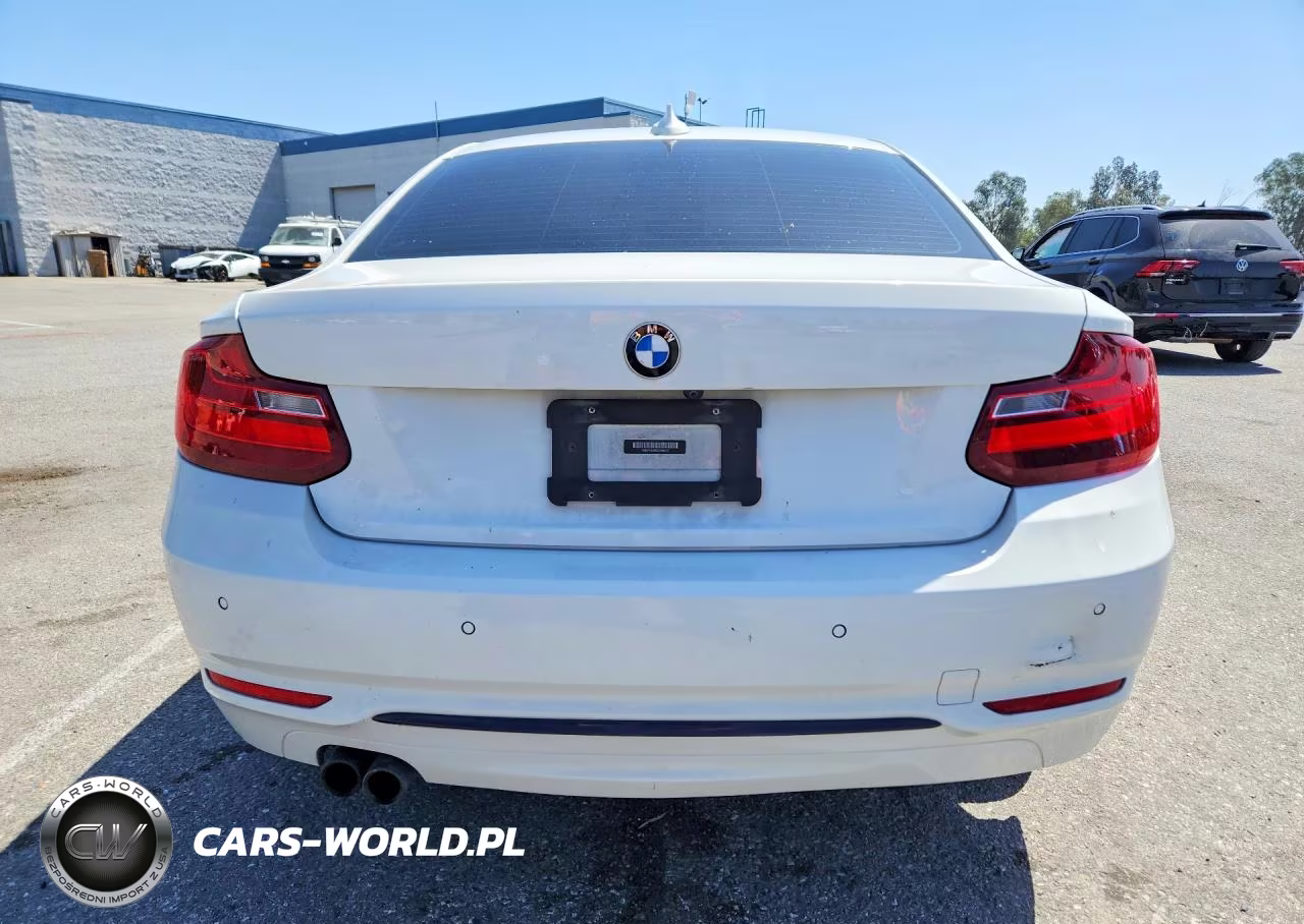 2016 BMW 228 I Sulev VIN:WBA1F9C55GV546317 - 6