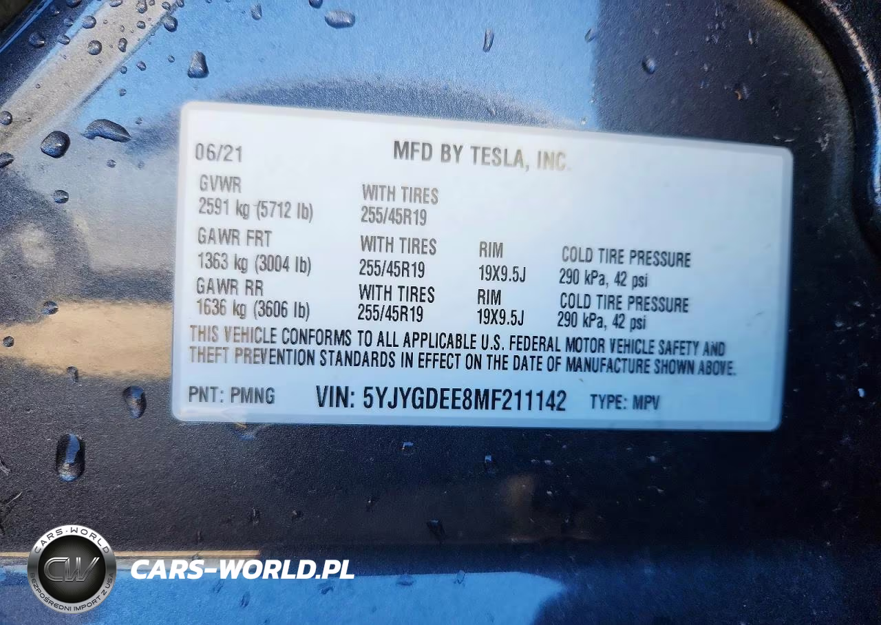 2021 Tesla Model Y VIN:5YJYGDEE8MF211142 - 12
