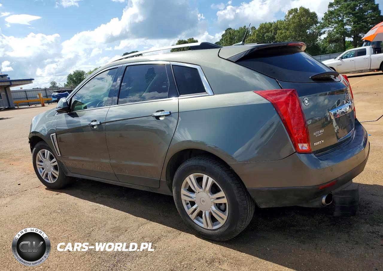 2013 Cadillac Srx Luxury Collection VIN:3GYFNCE37DS559313 - 2