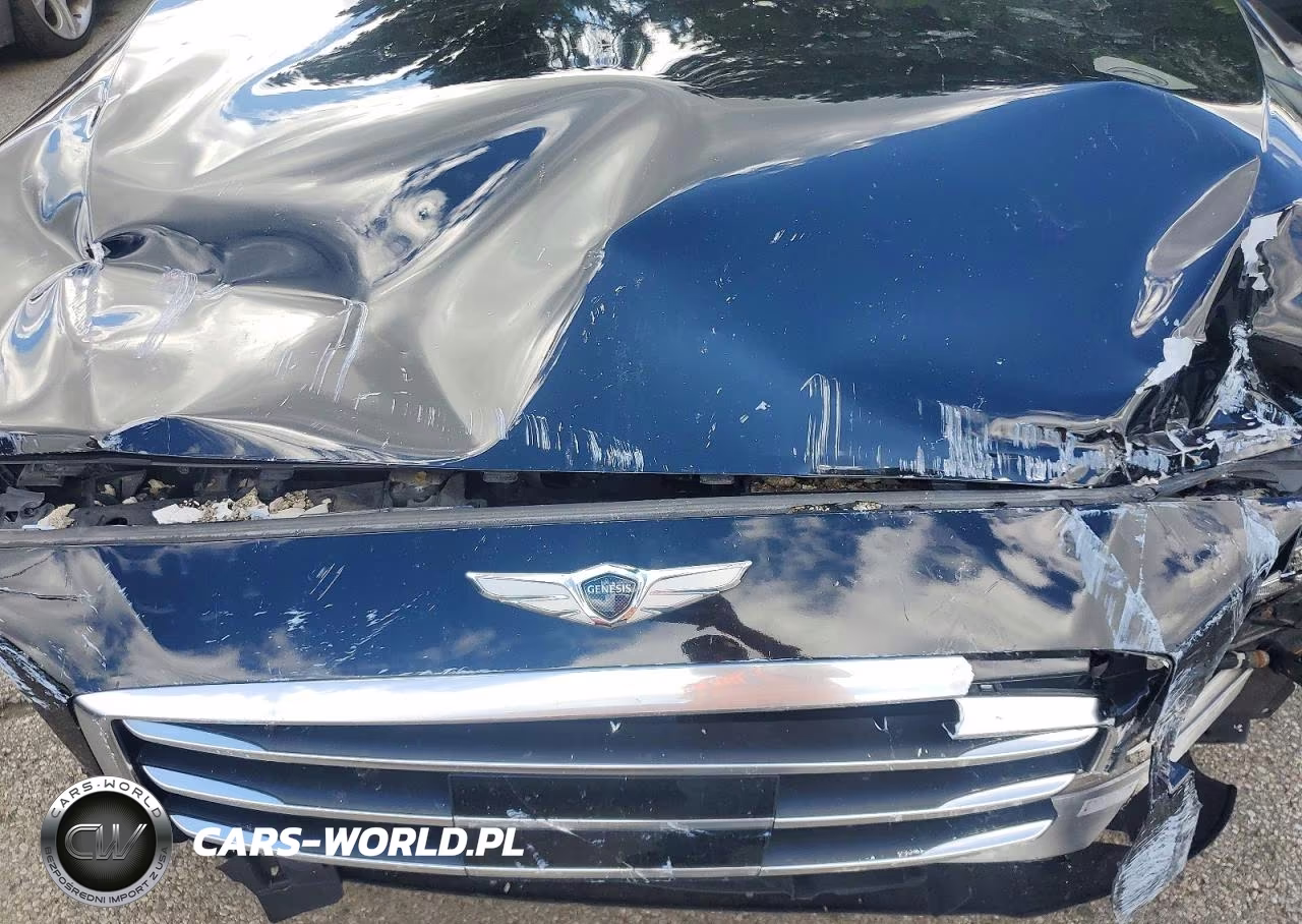 2017 Genesis G80 3.8 VIN:KMHGN4JE7HU176318 - 11