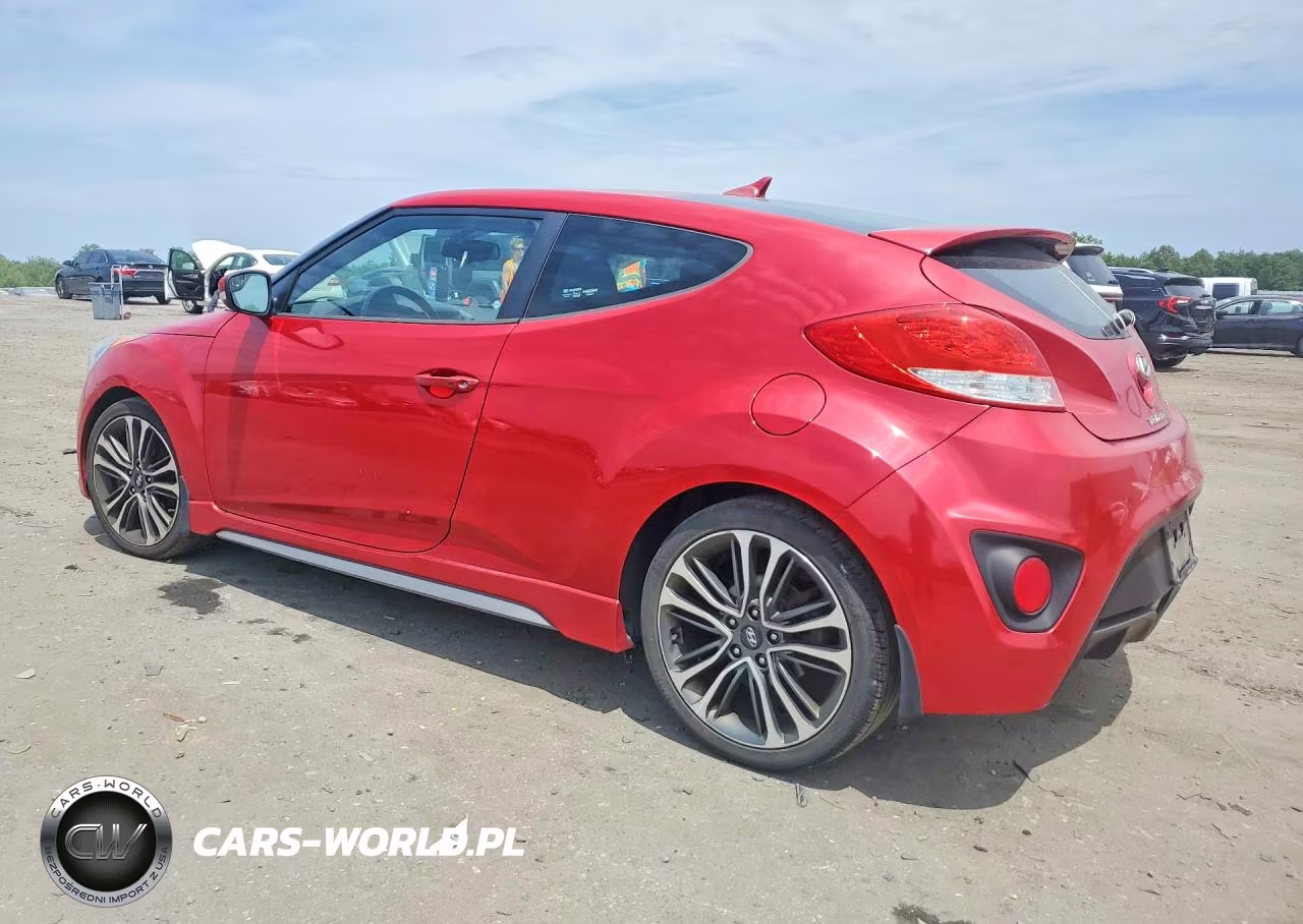 2016 Hyundai Veloster Turbo VIN:KMHTC6AE8GU260047 - 2