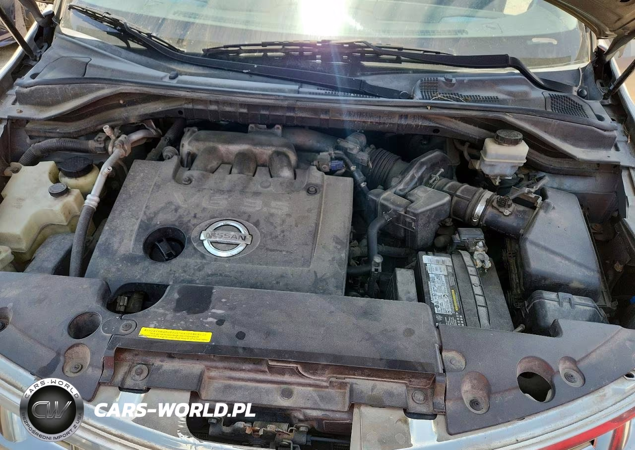 2004 Nissan Murano Sl VIN:JN8AZ08T34W222841 - 12