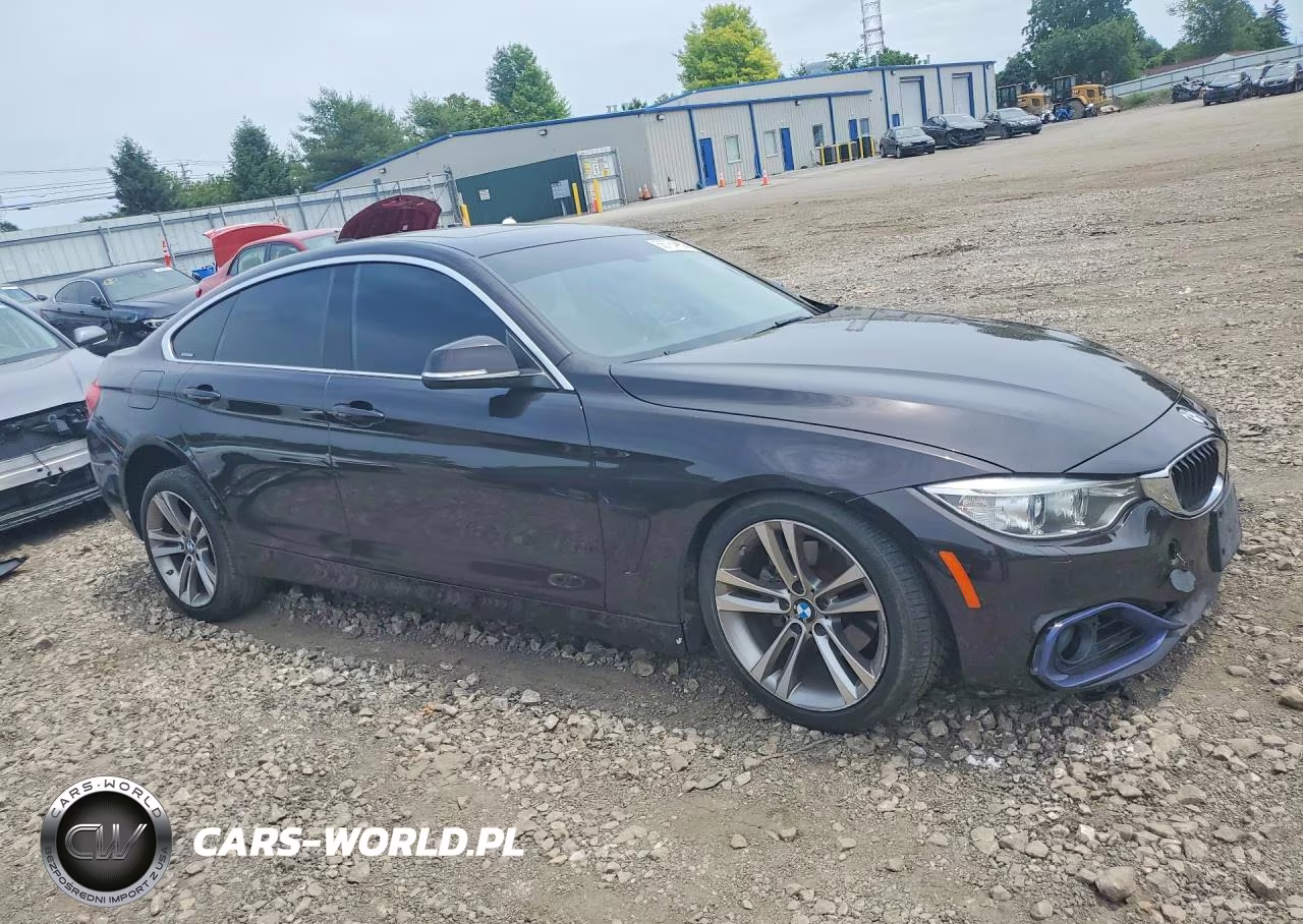 2016 BMW 428 Xi Gran Coupe Sulev VIN:WBA4C9C59GG141474 - 4