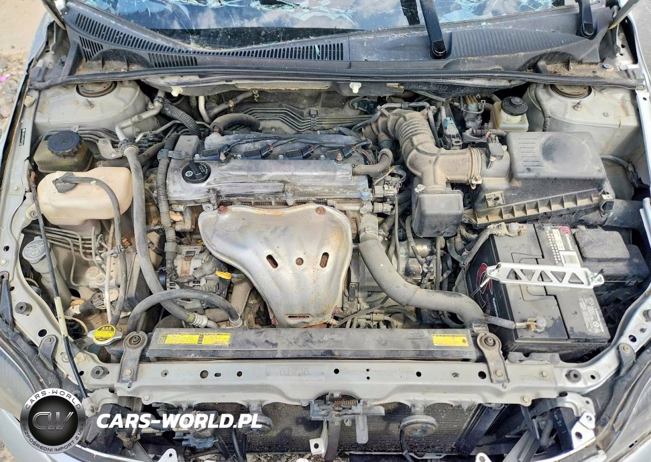 2009 Scion Tc Base VIN:JTKDE167X90279475 - 11