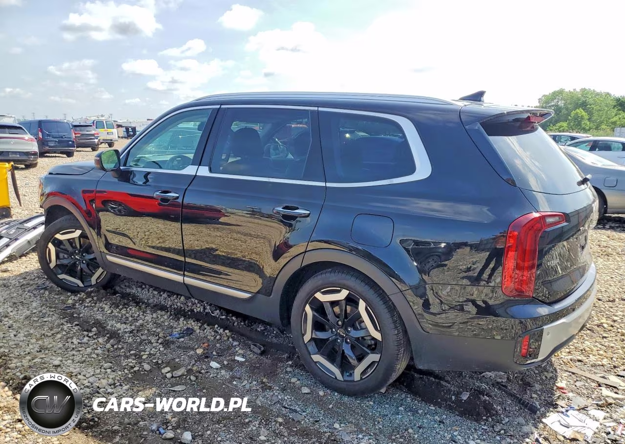 2024 Kia Telluride S VIN:5XYP6DGCXRG495903 - 2