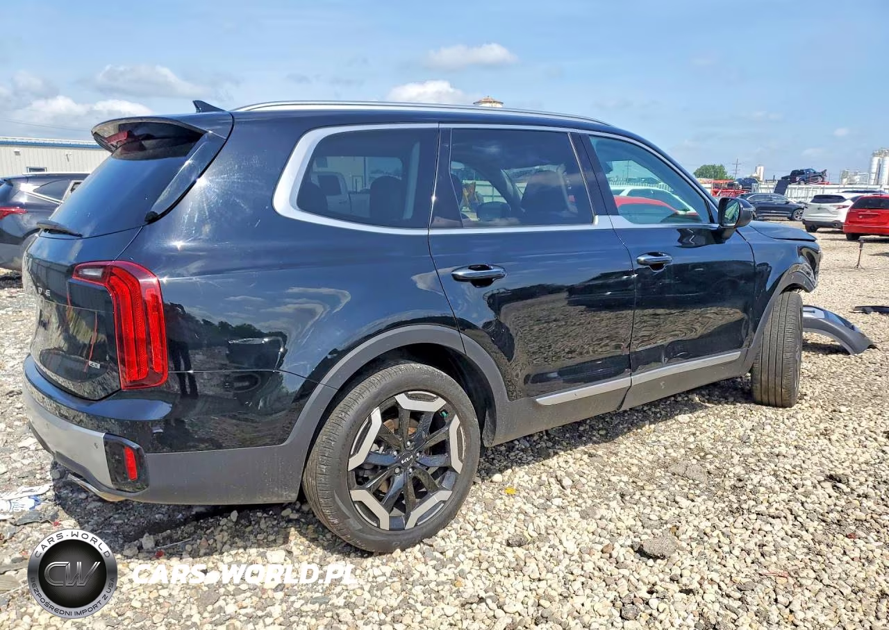 2024 Kia Telluride S VIN:5XYP6DGCXRG495903 - 3