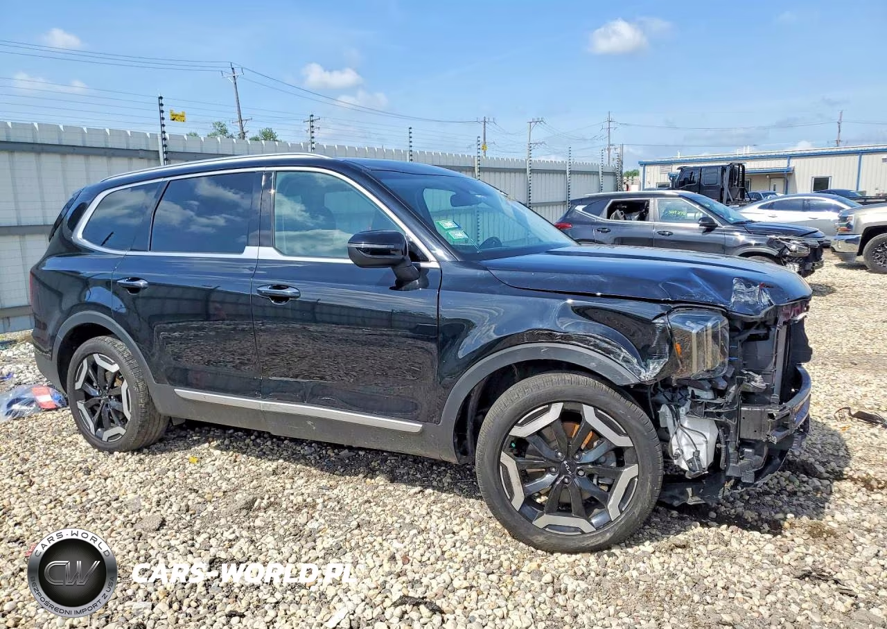 2024 Kia Telluride S VIN:5XYP6DGCXRG495903 - 4